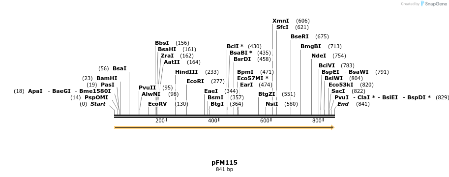 53576_map