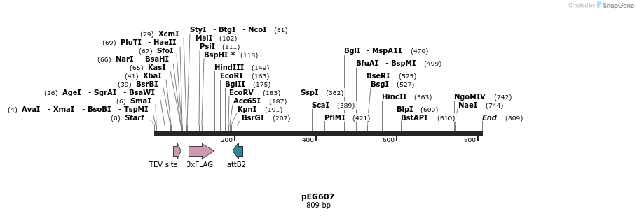53590_map