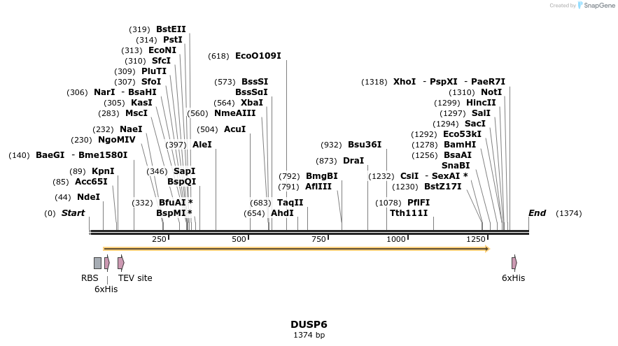 53592_map