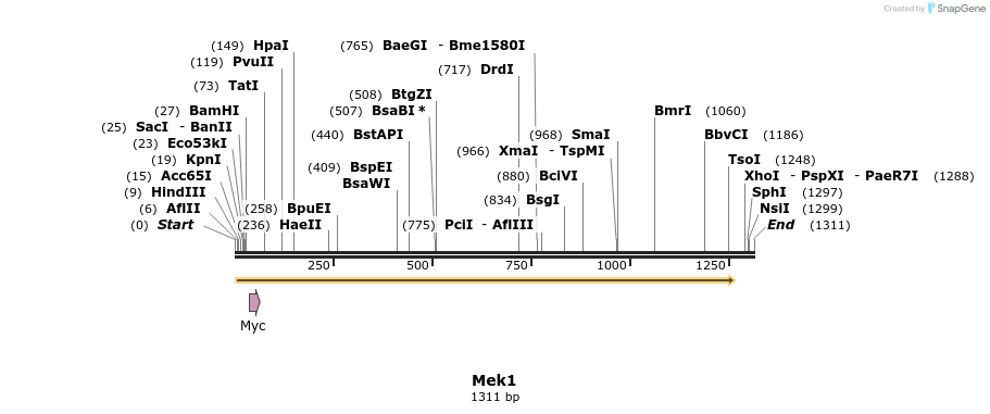 53594_map