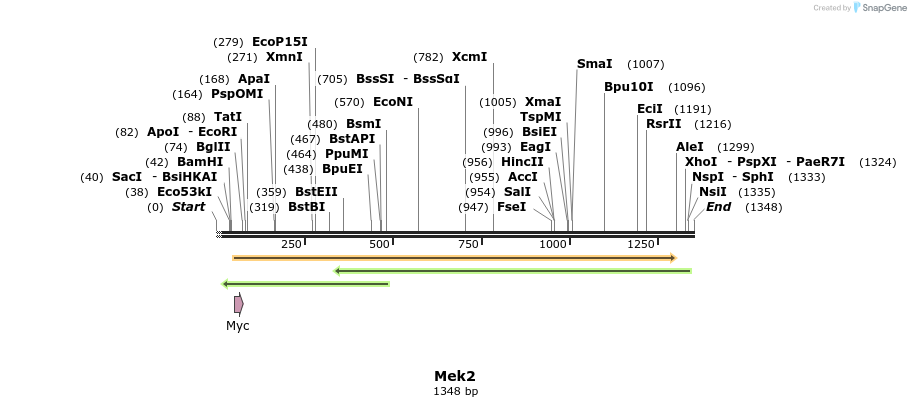 53595_map