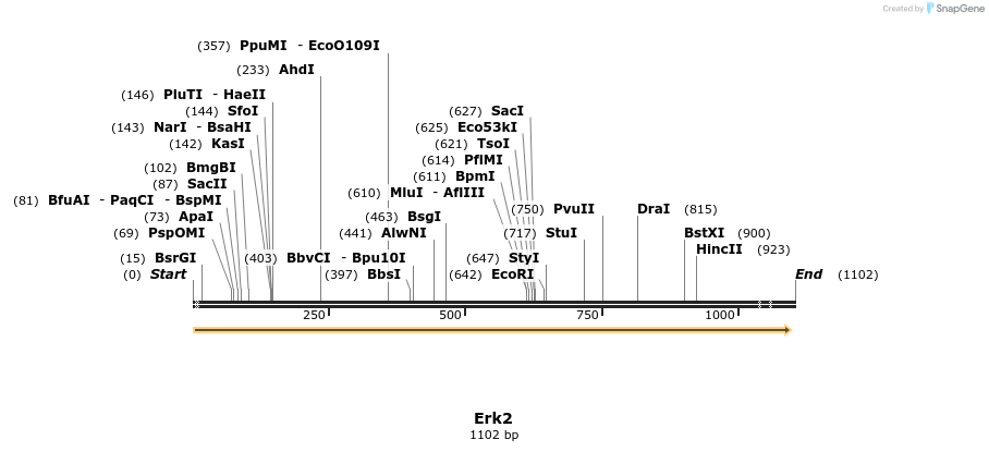 53596_map