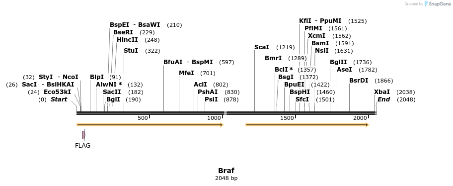 53597_map