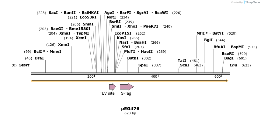53603_map