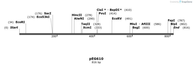 53609_map