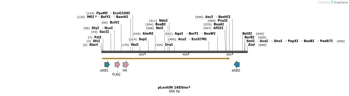 53634_map