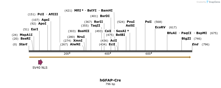 53636_map
