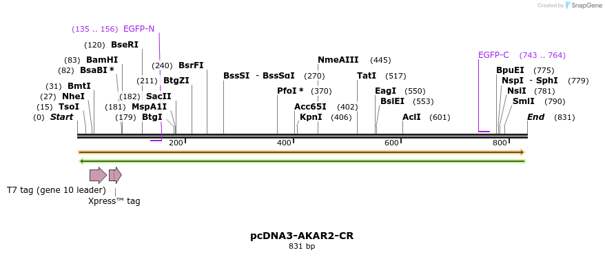 53637_map