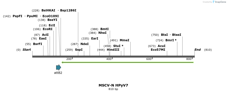 53642_map