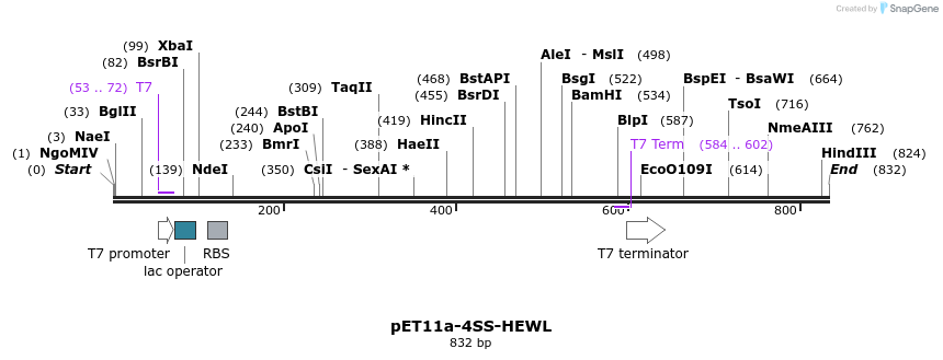 53646_map