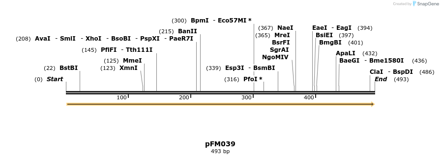 53649_map