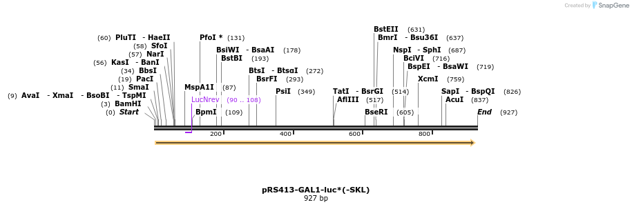 53650_map