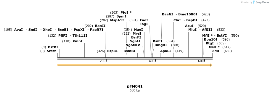 53651_map