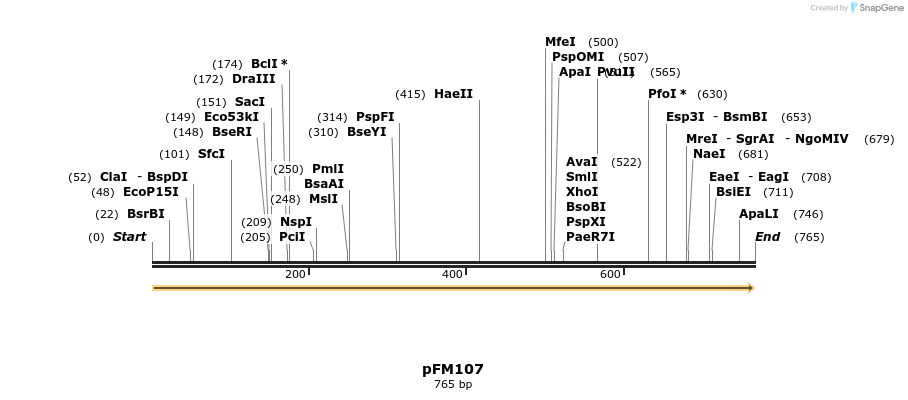 53655_map