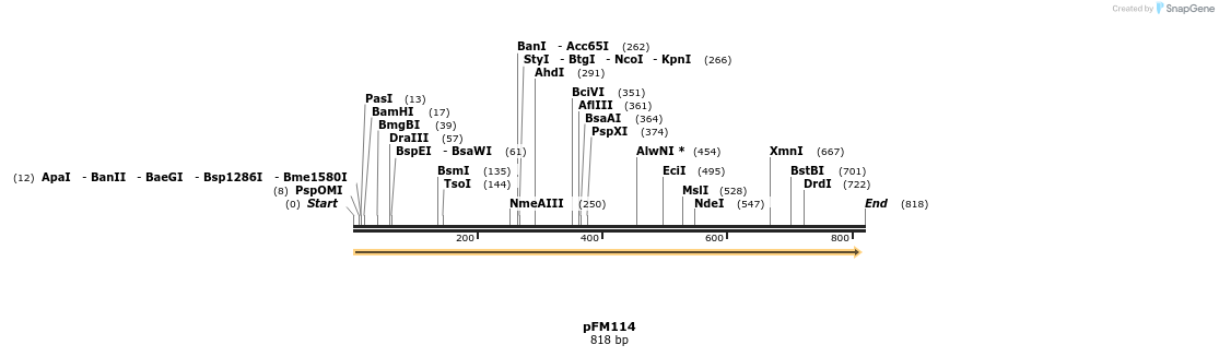 53661_map
