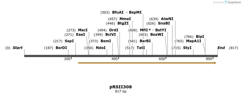 53675_map
