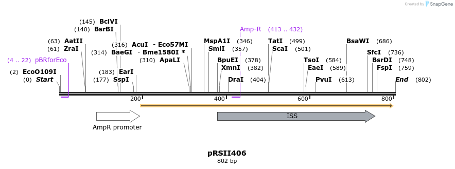 53678_map