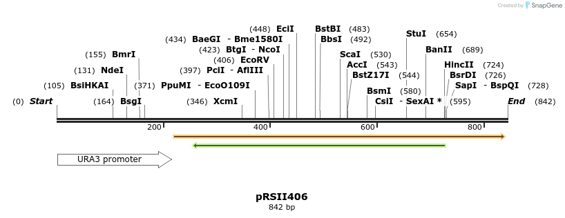 53679_map