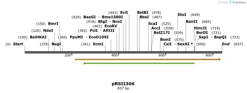 53686_map