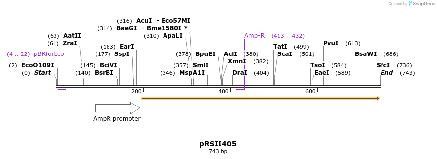 53688_map