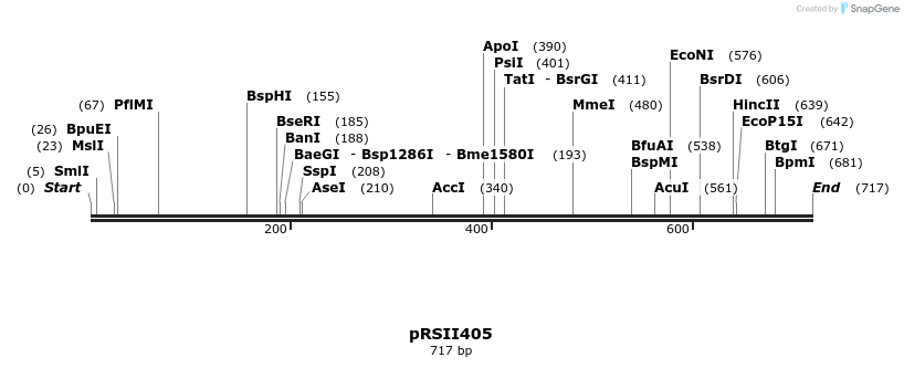 53689_map