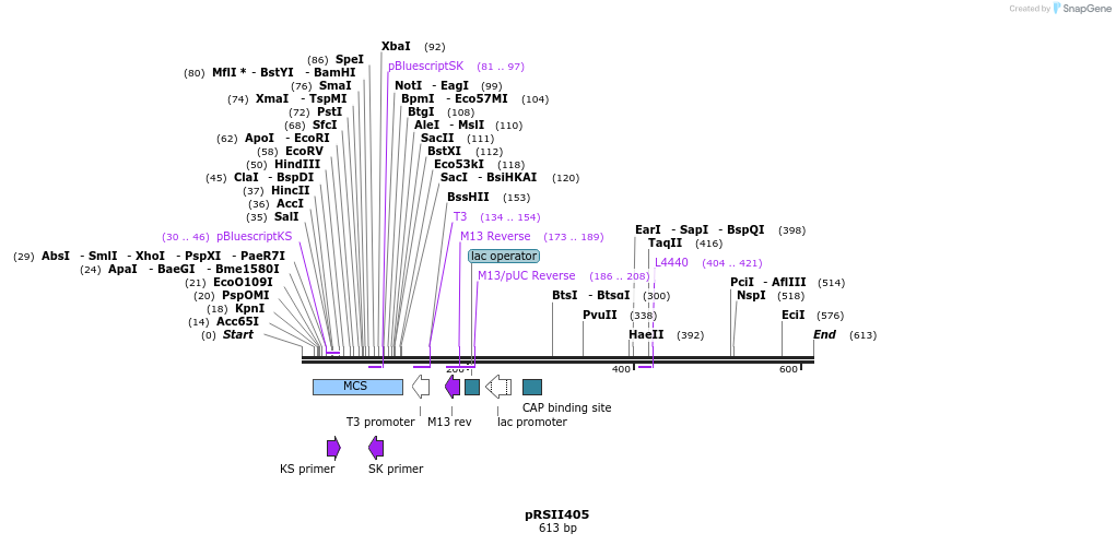 53690_map