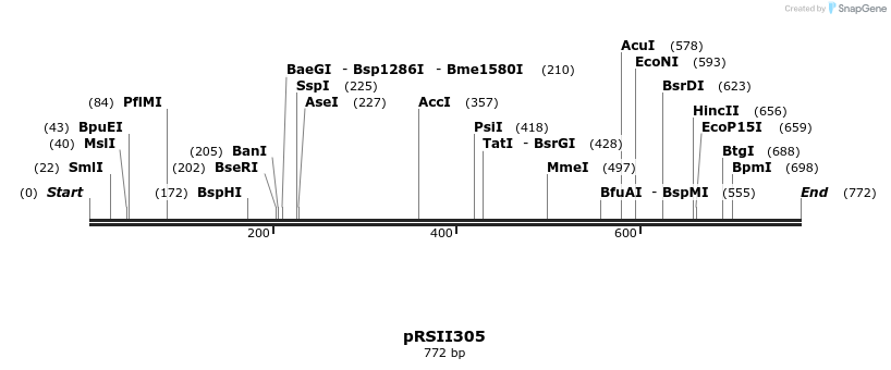 53691_map