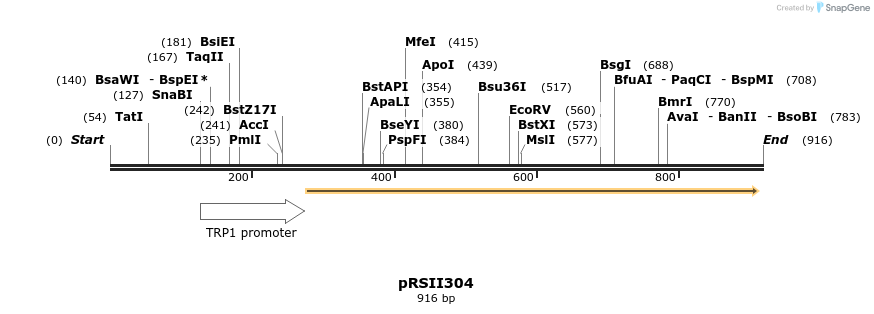 53697_map