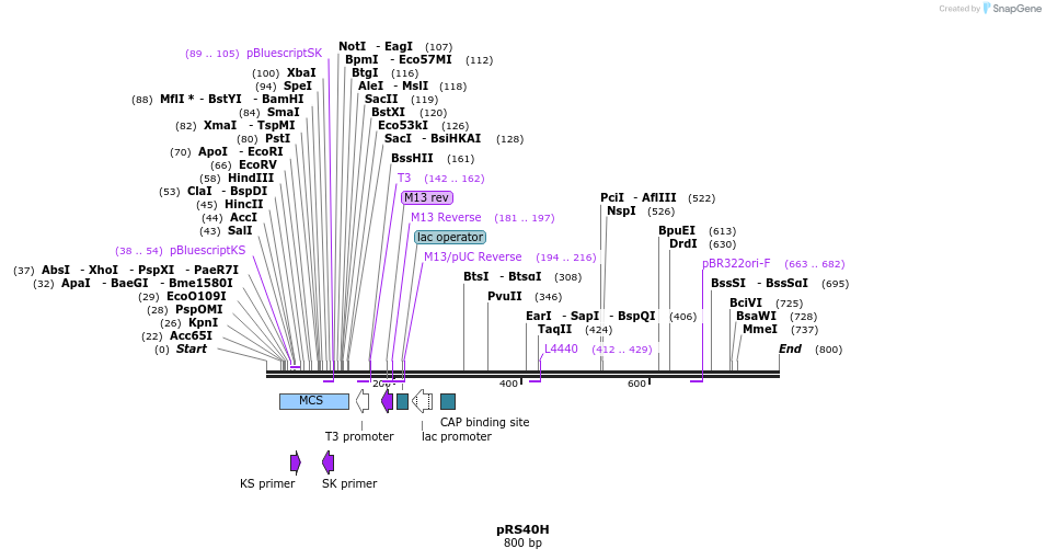 53702_map