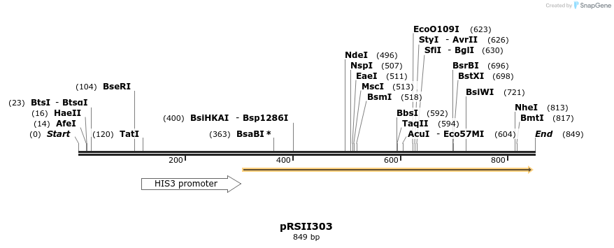 53707_map