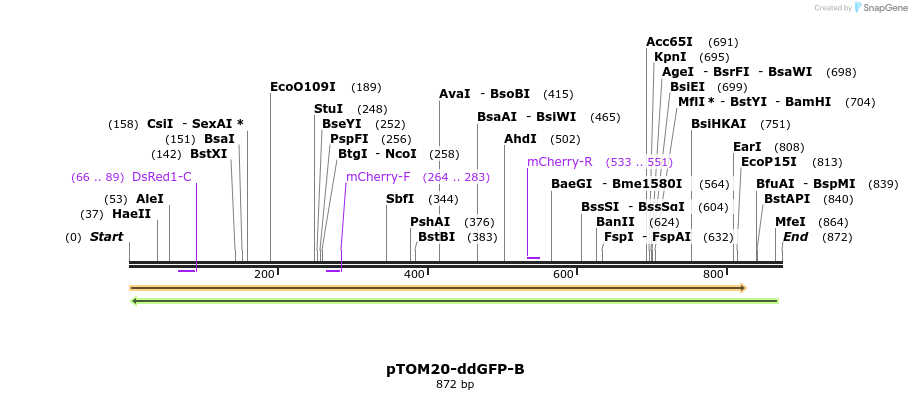 53716_map