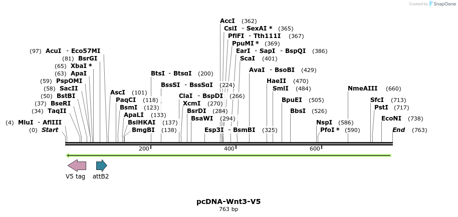 53719_map