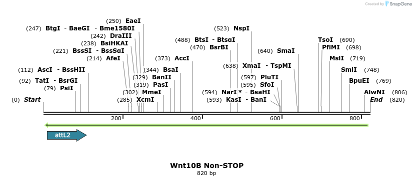 53720_map