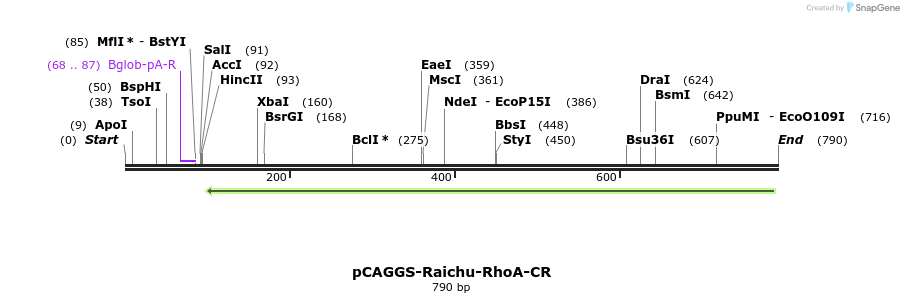 53751_map