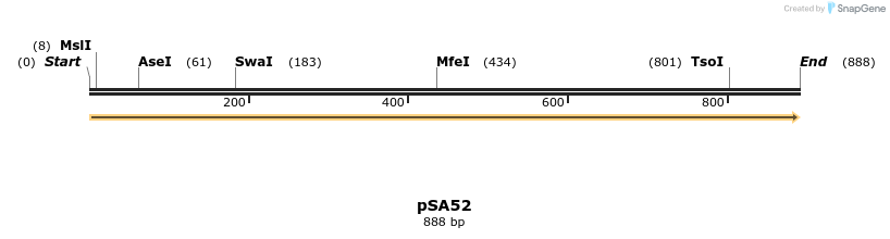 53756_map
