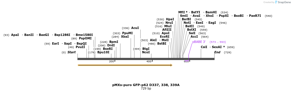 53757_map