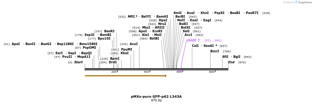 53758_map