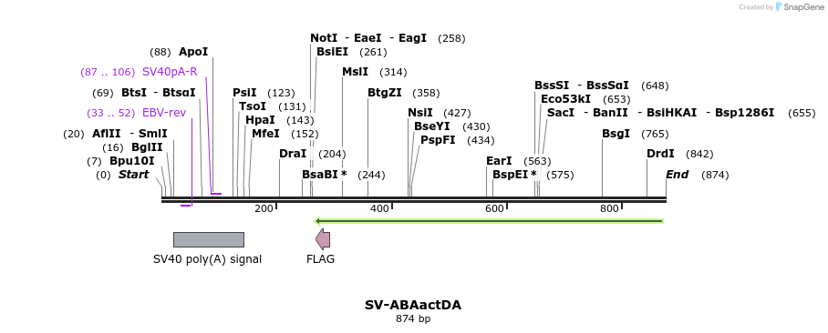 53762_map