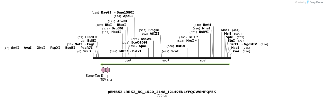 53775_map