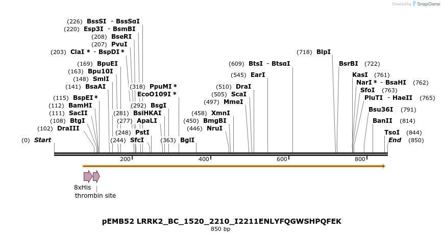 53776_map