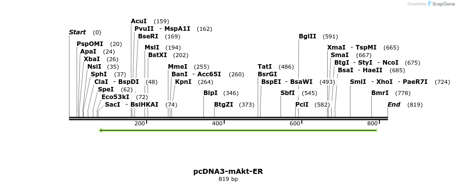 53778_map