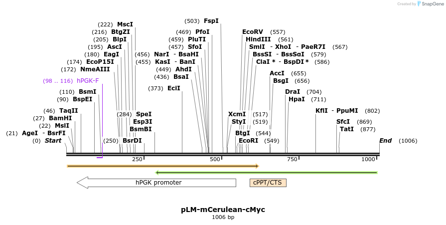 53782_map