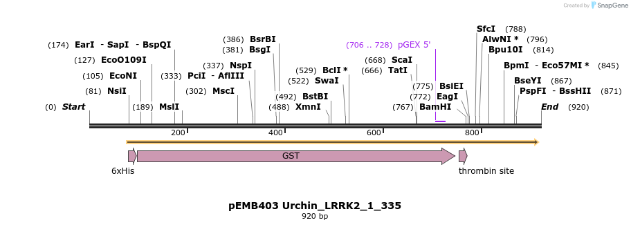 53787_map