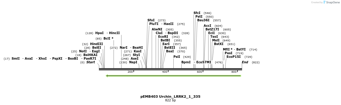 53789_map