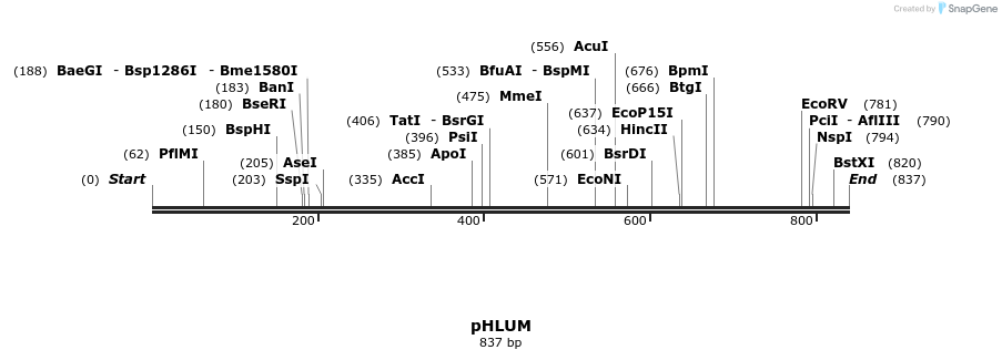 53790_map