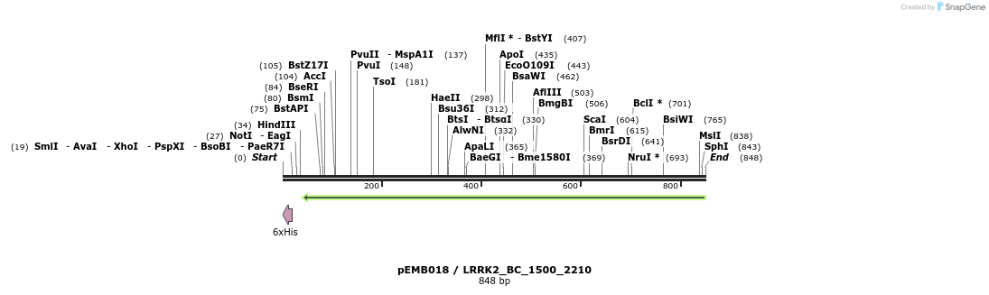 53793_map