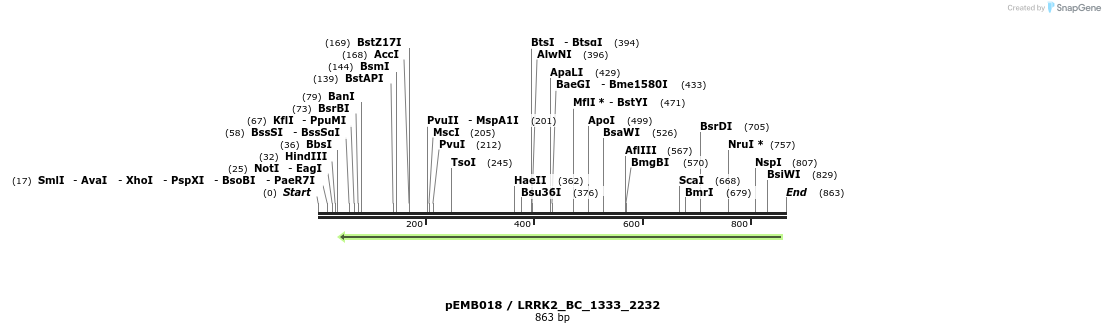 53795_map