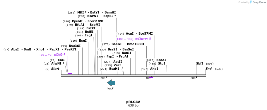 53797_map