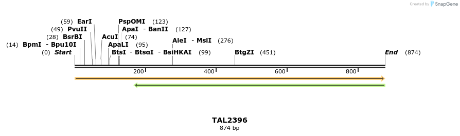 53807_map