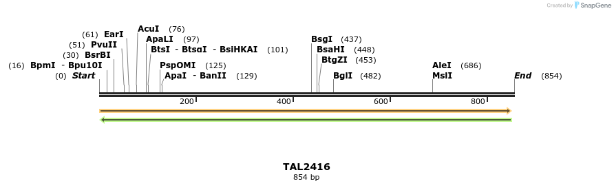 53810_map